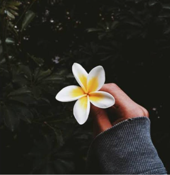 image-not-found
